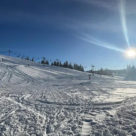 Appartamento Pied Des Pistes - 4 Pers Rénové Les Gets